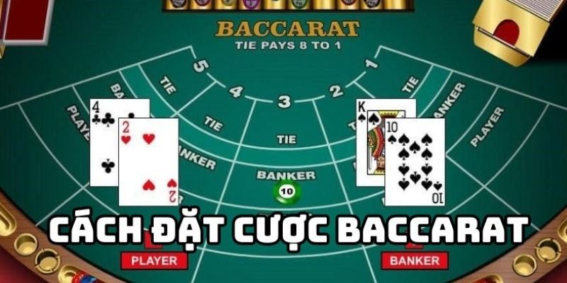 Chia sẻ luật chơi Baccarat trực tuyến chi tiết cho tân thủ