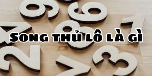 song thủ lô ảnh đại diện